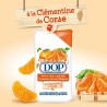 Dop Douceurs de nos Régions - Gel douche crème au parfum Clémentine de Corse 250ml (Packe de 2)